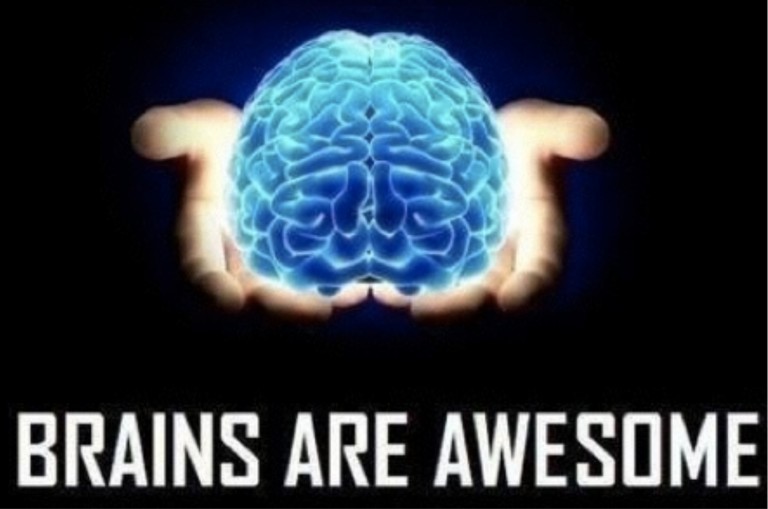 Brain is the most beautiful. Brain is the most beautiful
